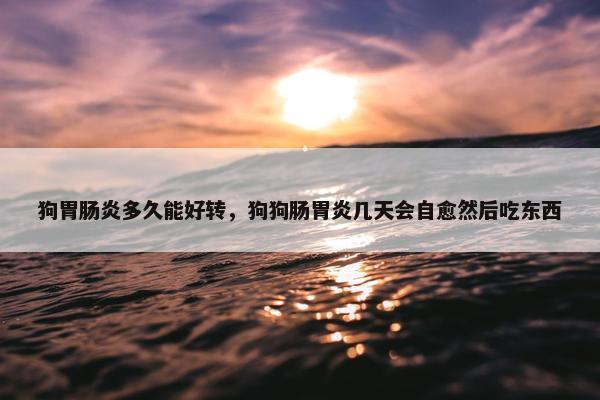 狗胃肠炎多久能好转，狗狗肠胃炎几天会自愈然后吃东西
