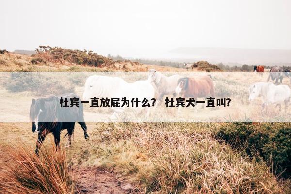 杜宾一直放屁为什么？ 杜宾犬一直叫？