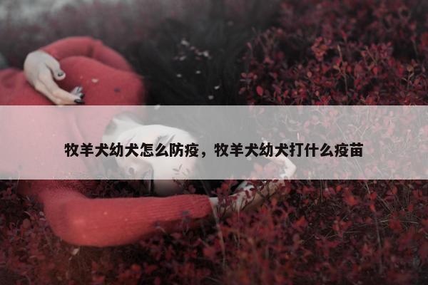 牧羊犬幼犬怎么防疫，牧羊犬幼犬打什么疫苗