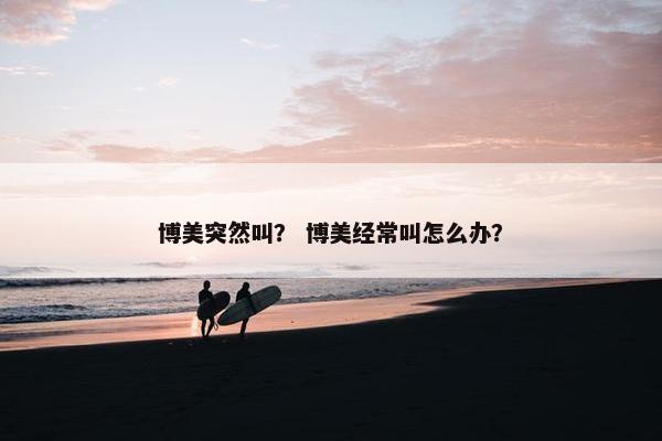 博美突然叫？ 博美经常叫怎么办？