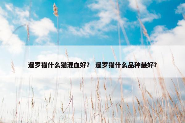 暹罗猫什么猫混血好？ 暹罗猫什么品种最好？