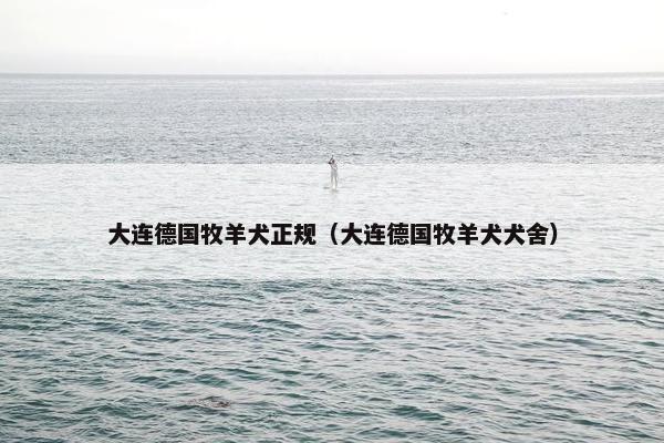 大连德国牧羊犬正规（大连德国牧羊犬犬舍）