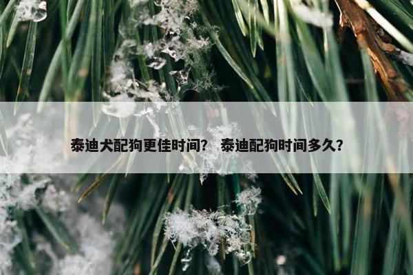 泰迪犬配狗更佳时间？ 泰迪配狗时间多久？