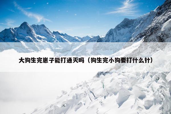 大狗生完崽子能打通灭吗（狗生完小狗要打什么针）