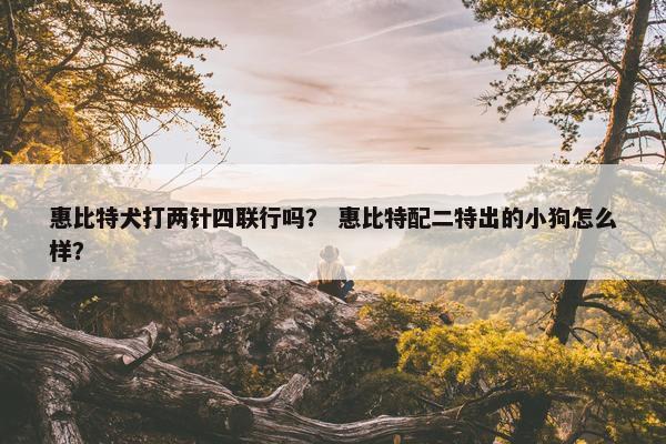 惠比特犬打两针四联行吗？ 惠比特配二特出的小狗怎么样？