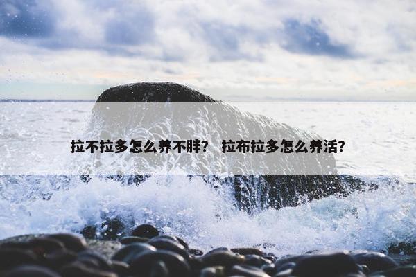 拉不拉多怎么养不胖？ 拉布拉多怎么养活？