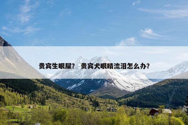 贵宾生眼屎？ 贵宾犬眼睛流泪怎么办？