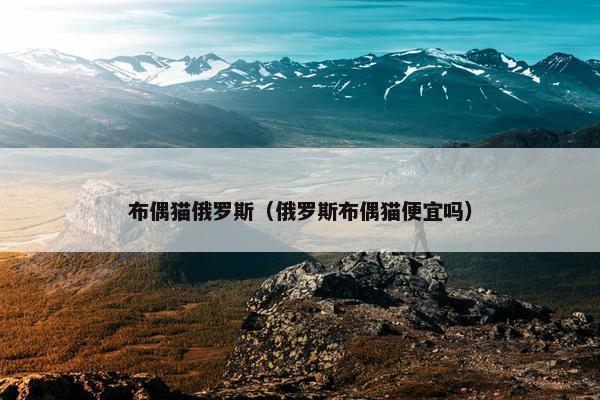 布偶猫俄罗斯（俄罗斯布偶猫便宜吗）
