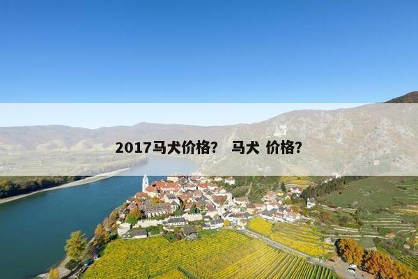 2017马犬价格？ 马犬 价格？