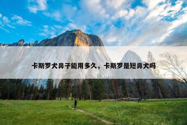 卡斯罗犬鼻子能用多久，卡斯罗是短鼻犬吗