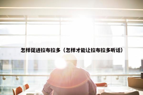 怎样促进拉布拉多（怎样才能让拉布拉多听话）