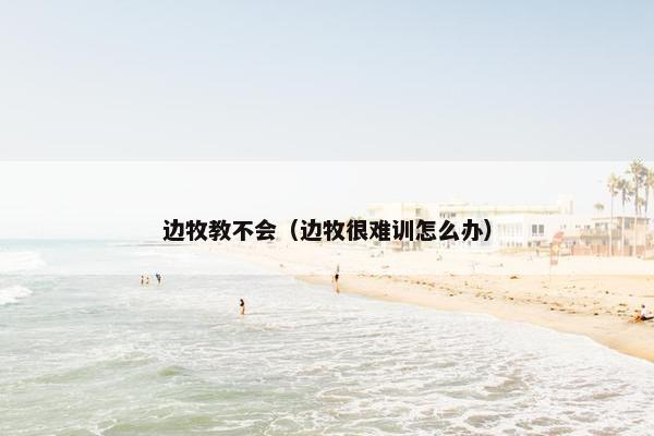 边牧教不会（边牧很难训怎么办）