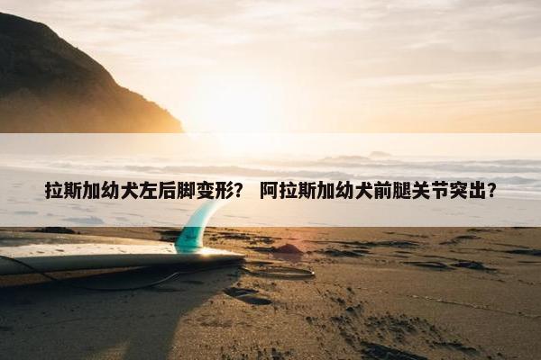 拉斯加幼犬左后脚变形？ 阿拉斯加幼犬前腿关节突出？