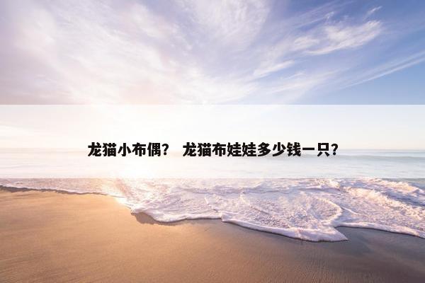 龙猫小布偶？ 龙猫布娃娃多少钱一只？
