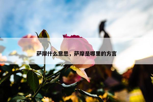 萨摩什么意思，萨摩是哪里的方言