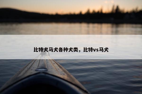 比特犬马犬各种犬类，比特vs马犬