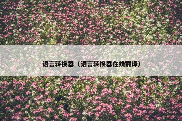 语言转换器（语言转换器在线翻译）