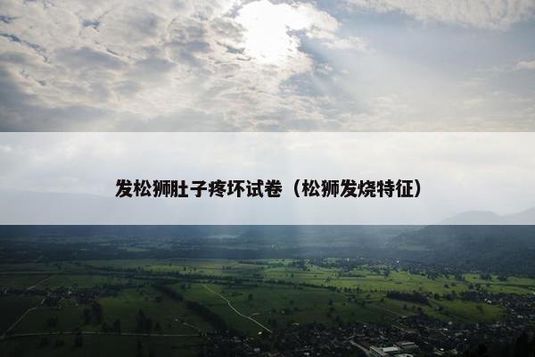 发松狮肚子疼坏试卷（松狮发烧特征）
