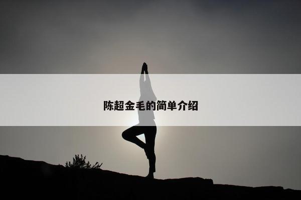 陈超金毛的简单介绍