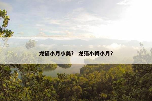 龙猫小月小美？ 龙猫小梅小月？