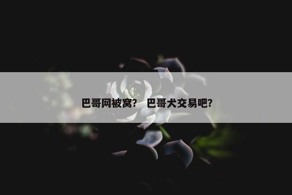 巴哥网被窝？ 巴哥犬交易吧？