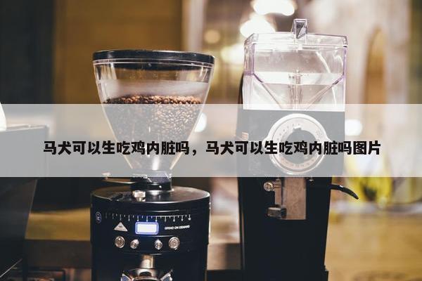 马犬可以生吃鸡内脏吗，马犬可以生吃鸡内脏吗图片
