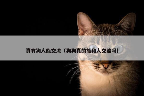 真有狗人能交流（狗狗真的能和人交流吗）