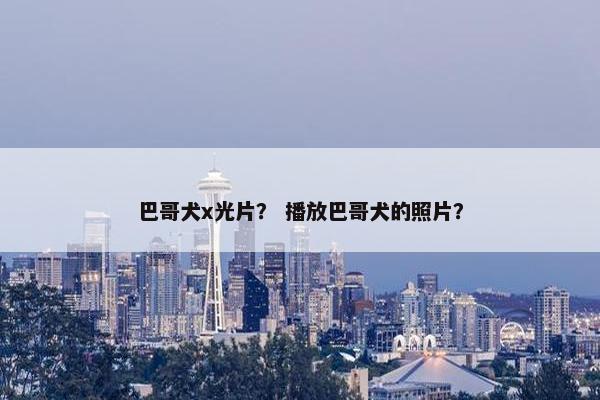 巴哥犬x光片？ 播放巴哥犬的照片？