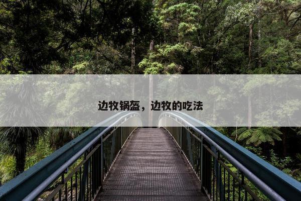 边牧锅盔，边牧的吃法