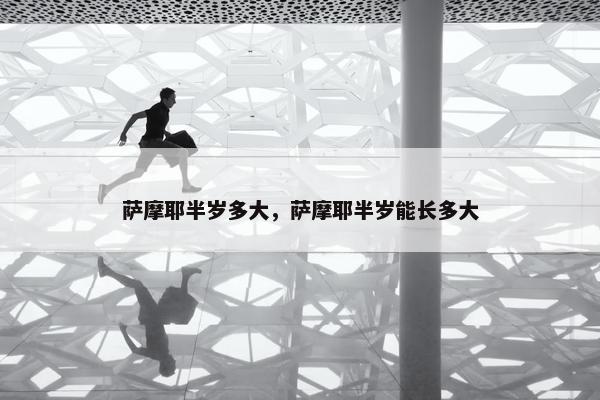 萨摩耶半岁多大，萨摩耶半岁能长多大