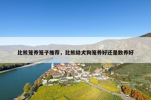 比熊笼养笼子推荐，比熊幼犬狗笼养好还是散养好