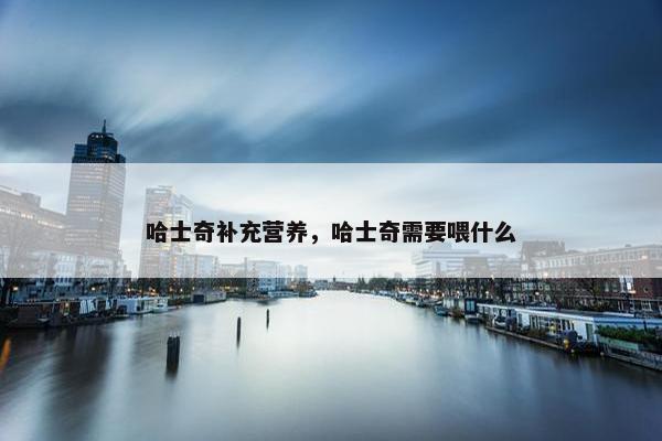 哈士奇补充营养，哈士奇需要喂什么