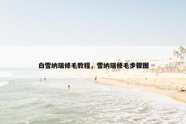 白雪纳瑞修毛教程，雪纳瑞修毛步骤图
