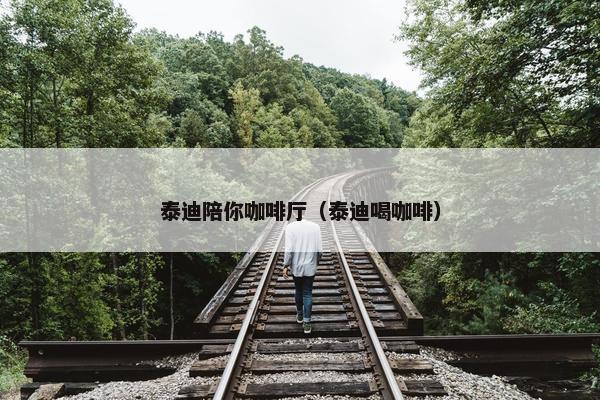 泰迪陪你咖啡厅（泰迪喝咖啡）