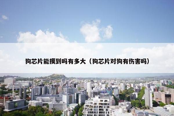 狗芯片能摸到吗有多大（狗芯片对狗有伤害吗）