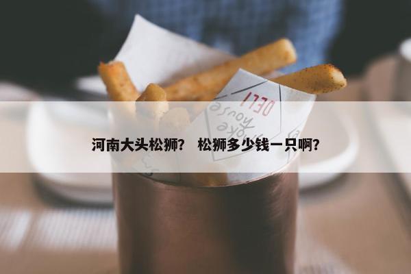 河南大头松狮？ 松狮多少钱一只啊？