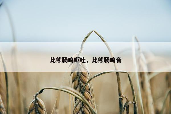 比熊肠鸣呕吐，比熊肠鸣音