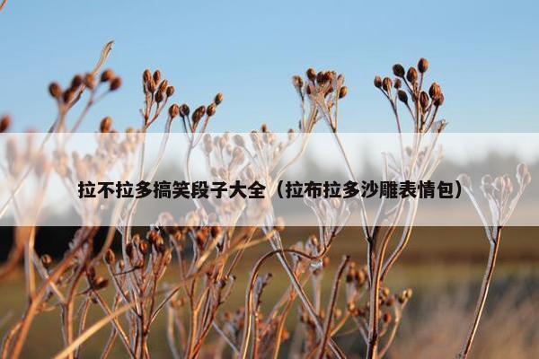 拉不拉多搞笑段子大全（拉布拉多沙雕表情包）