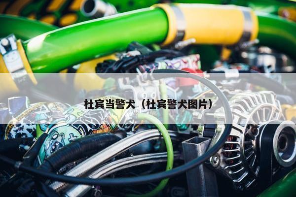 杜宾当警犬（杜宾警犬图片）
