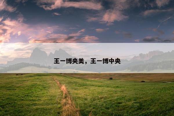 王一博央美，王一博中央