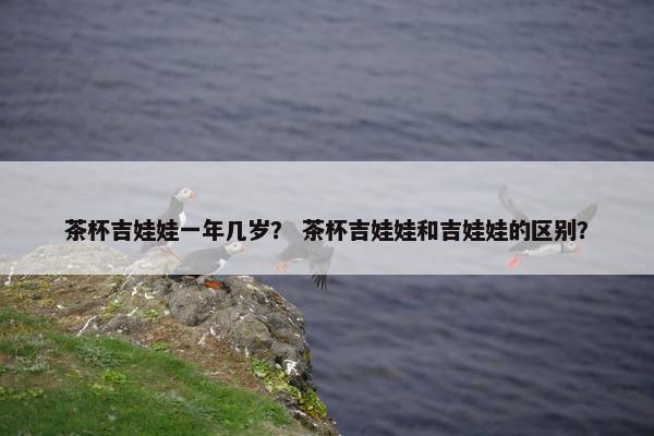 茶杯吉娃娃一年几岁？ 茶杯吉娃娃和吉娃娃的区别？