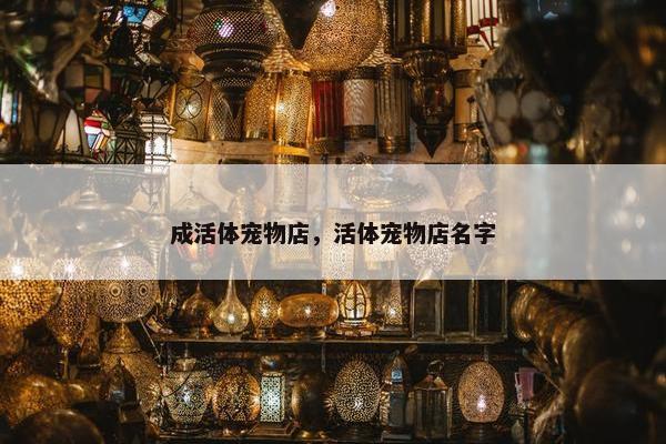成活体宠物店，活体宠物店名字