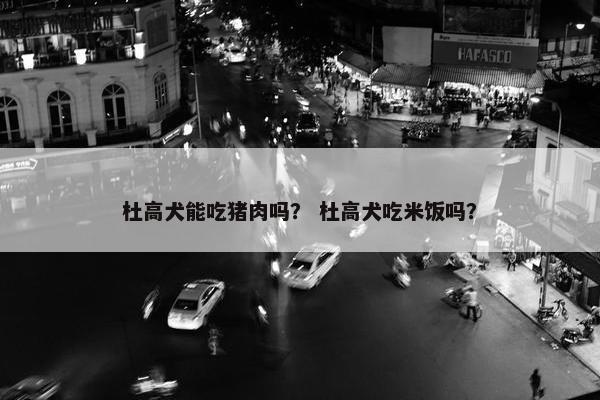 杜高犬能吃猪肉吗？ 杜高犬吃米饭吗？