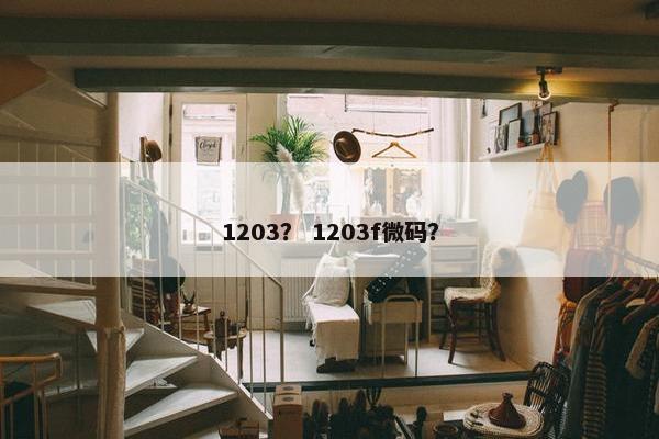 1203？ 1203f微码？