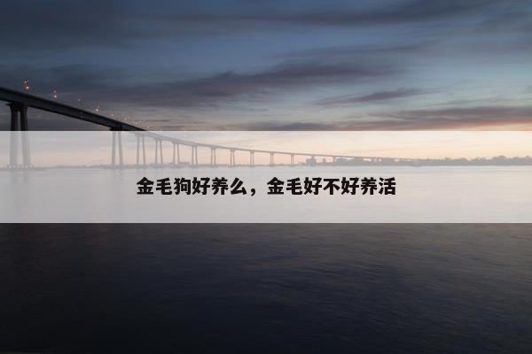 金毛狗好养么，金毛好不好养活