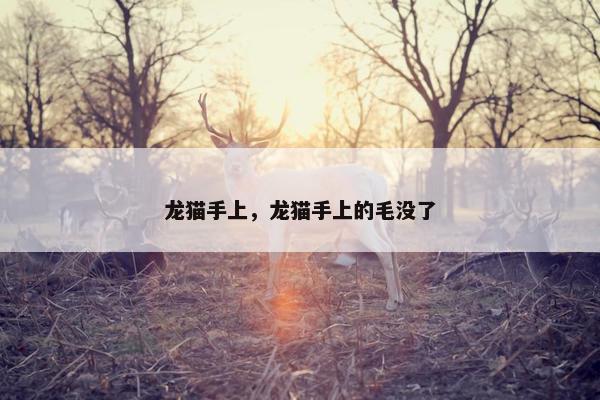 龙猫手上，龙猫手上的毛没了