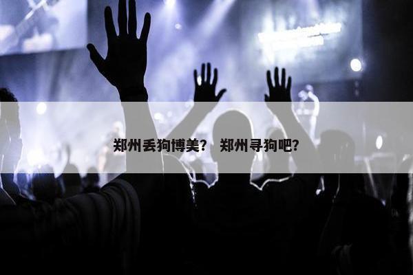 郑州丢狗博美？ 郑州寻狗吧？