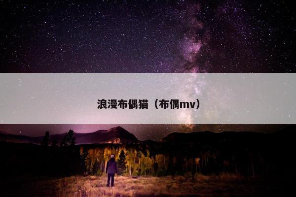 浪漫布偶猫（布偶mv）