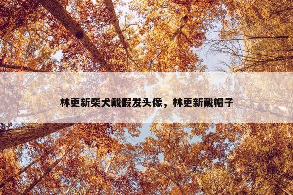 林更新柴犬戴假发头像，林更新戴帽子