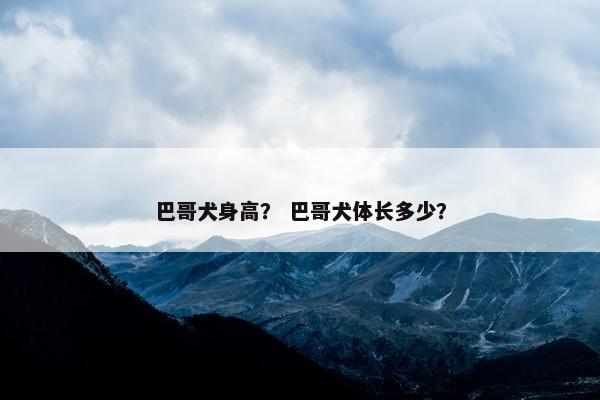 巴哥犬身高？ 巴哥犬体长多少？